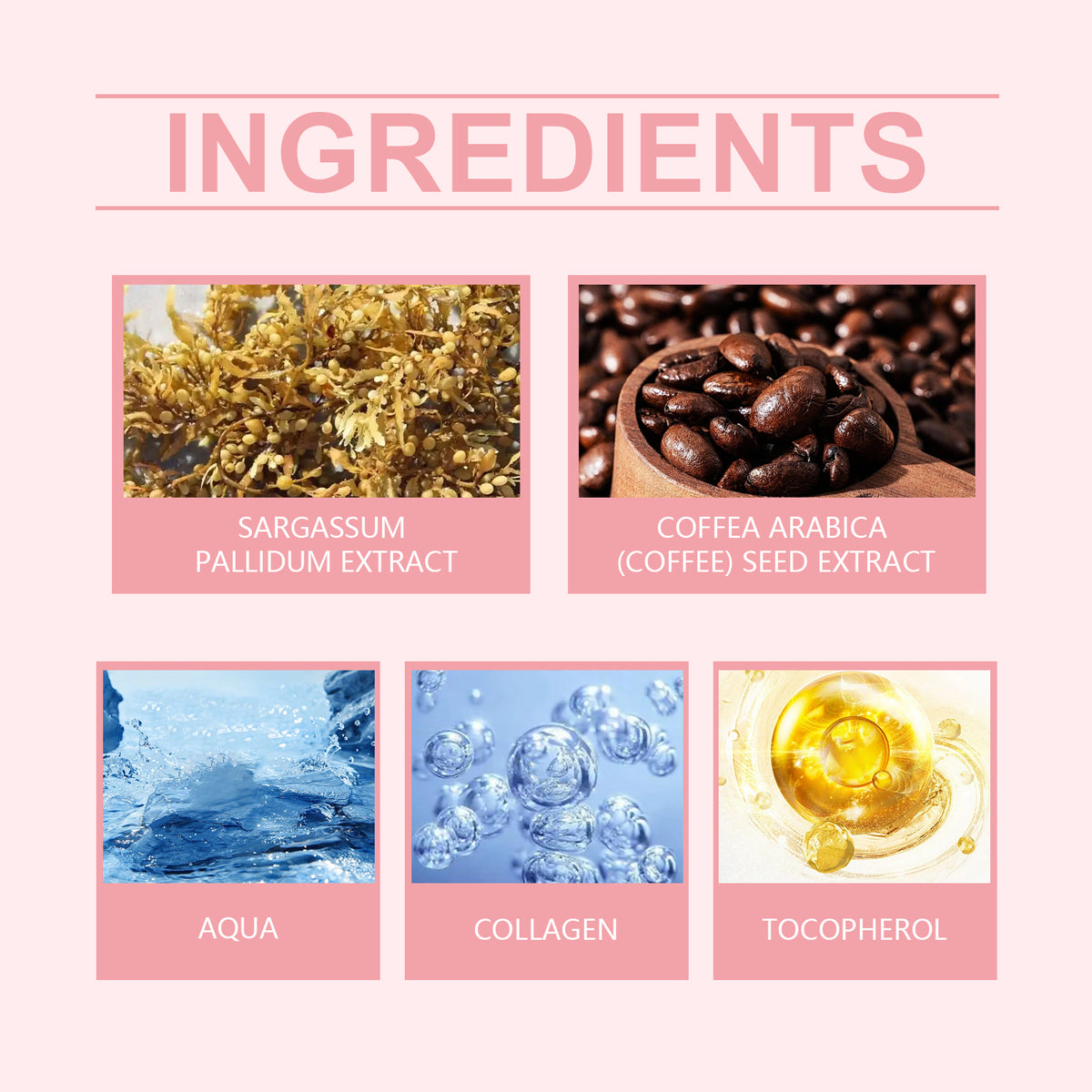 Pink graphic with bold "INGREDIENTS" title and five labelled ingredient images: seaweed, coffee, water, collagen, oil.