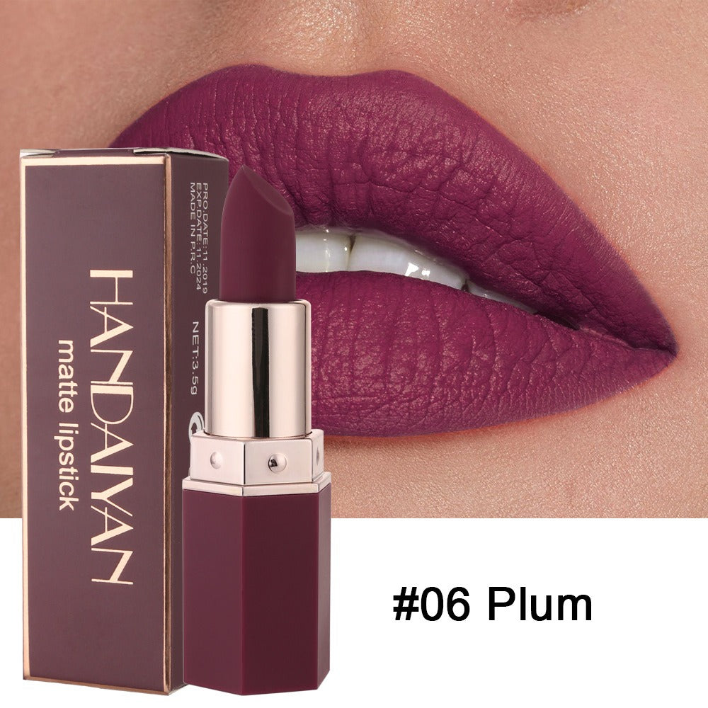 Handaiyan plum matte lipstick tube beside its box, shown against lips wearing the same shade.