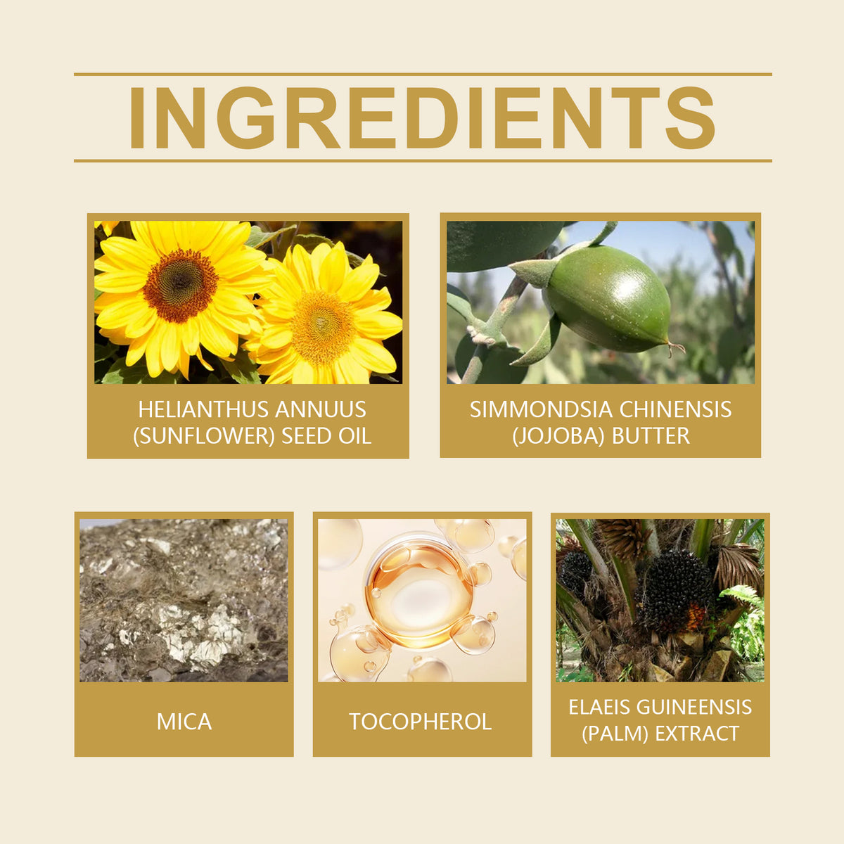 Graphic of five skincare ingredients: sunflowers, jojoba, mica, tocopherol, and palm extract.
