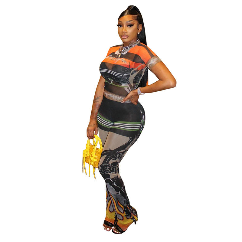 Sheer mesh round neck pullover and elastic high waist flared pants set from Plush Fashion Hub, stylish 2-piece ensemble.