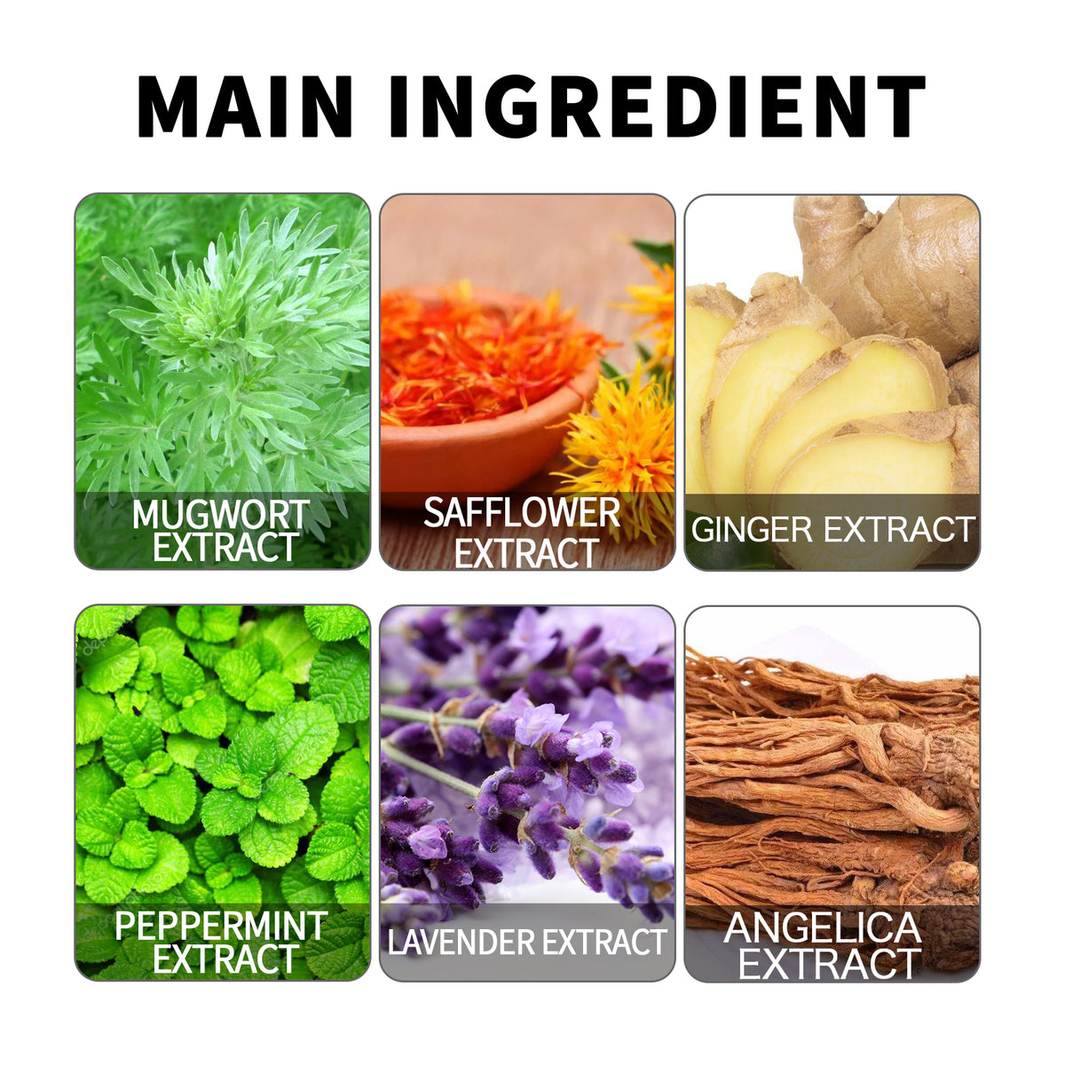 Six panels show ingredients: mugwort, safflower, ginger, peppermint, lavender, and angelica extract.