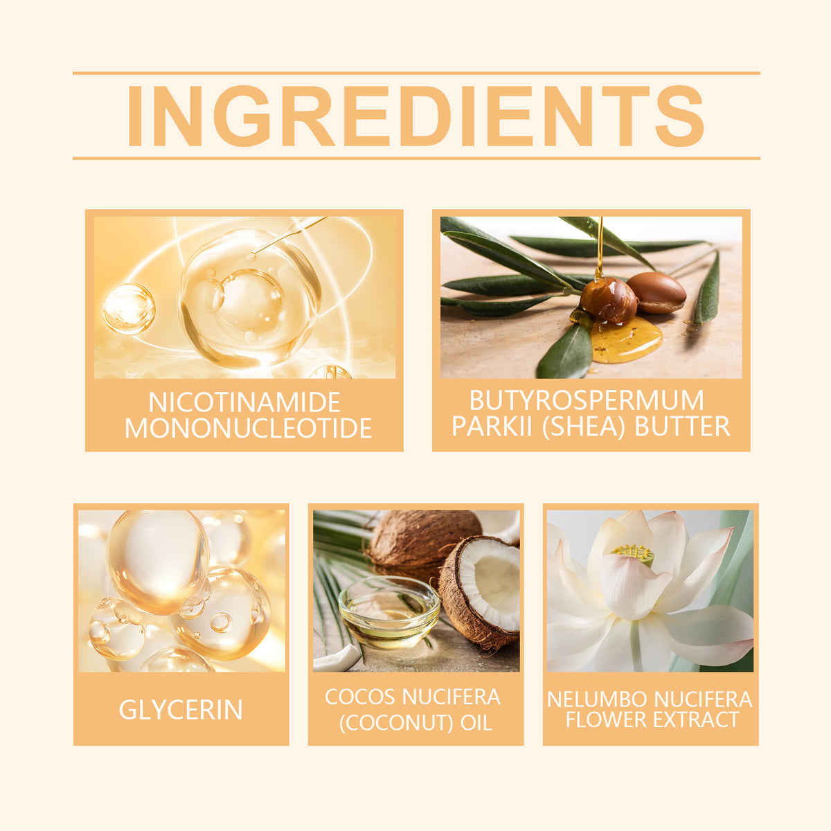 Infographic listing cosmetic ingredients: Nicotinamide Mononucleotide, Shea Butter, Glycerin, Coconut Oil, Flower Extract.