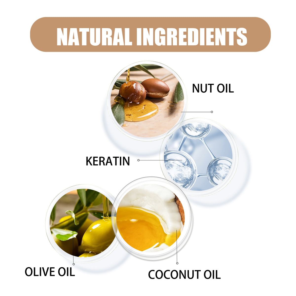 Infographic titled Natural Ingredients displaying circular images of Nut Oil, Keratin, Olive Oil, and Coconut Oil.