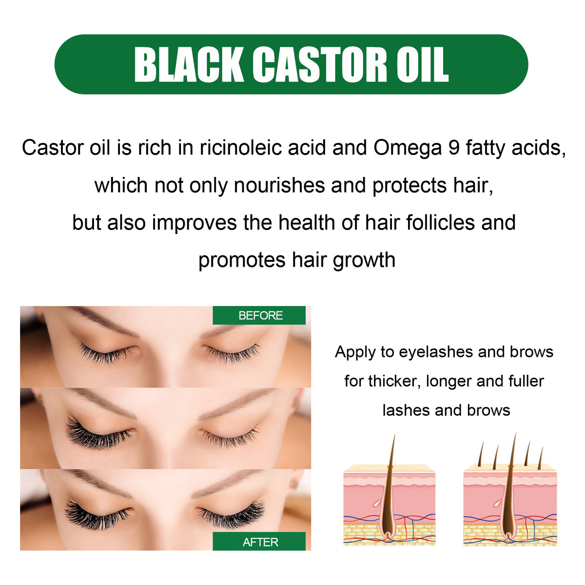 Black castor oil product ad showing before and after eyelashes and hair follicle diagrams with text.