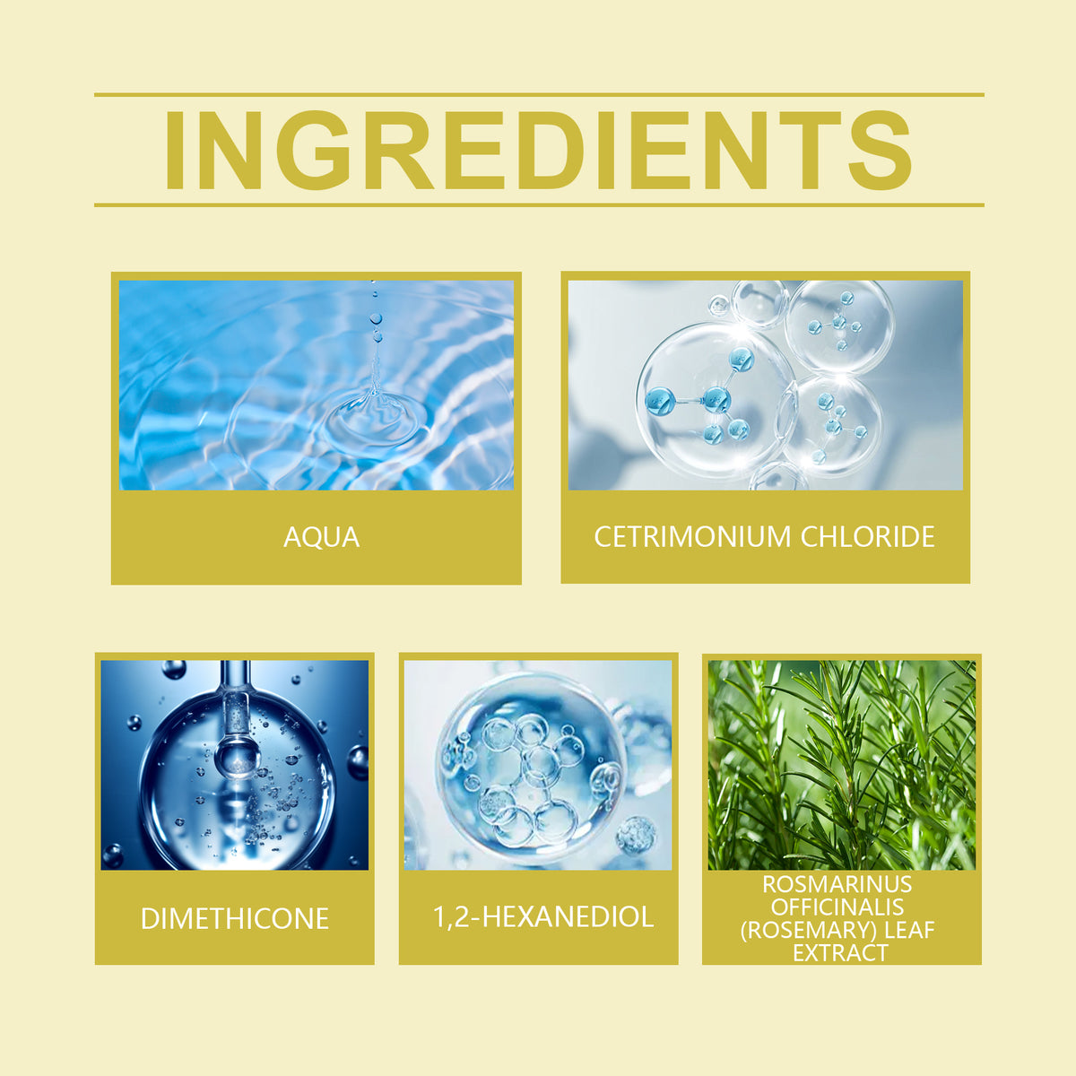 Cream-colored ingredient guide featuring five labeled visual elements: water ripples, molecules, pipette, cells, and rosemary.